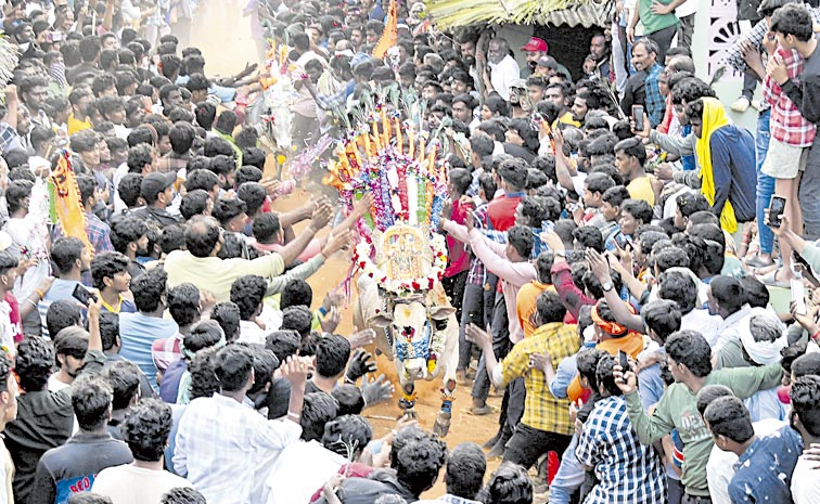 Sankranti-celebrations.jpg