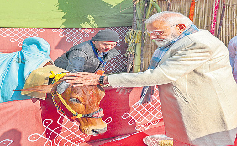 modi111.jpg