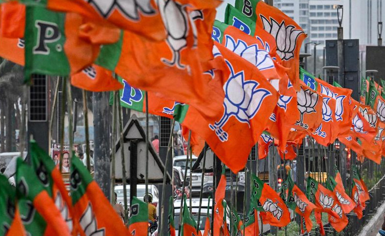 bjp.jpg