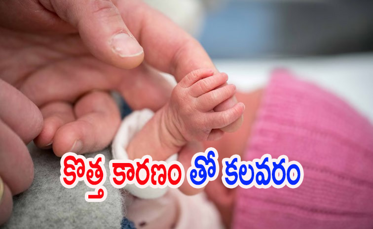 Newborns.jpg