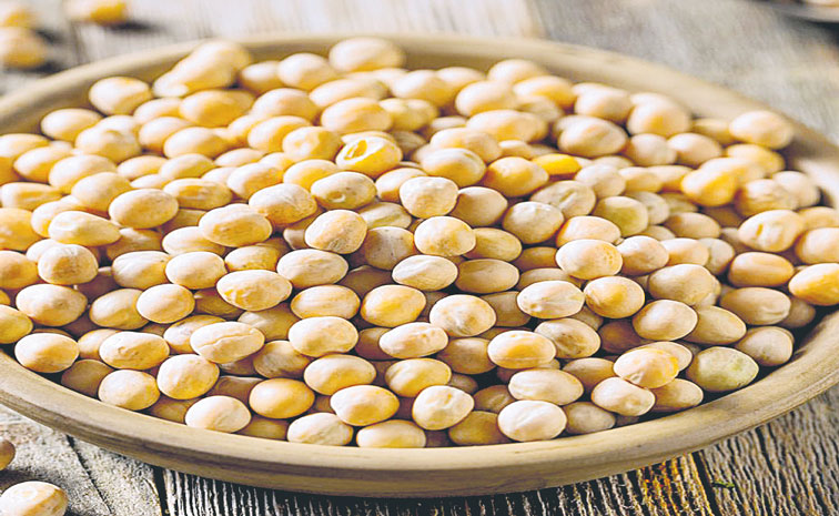 YELLOW-PEAS.jpg