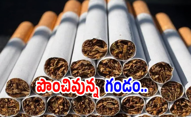 cigarette.jpg