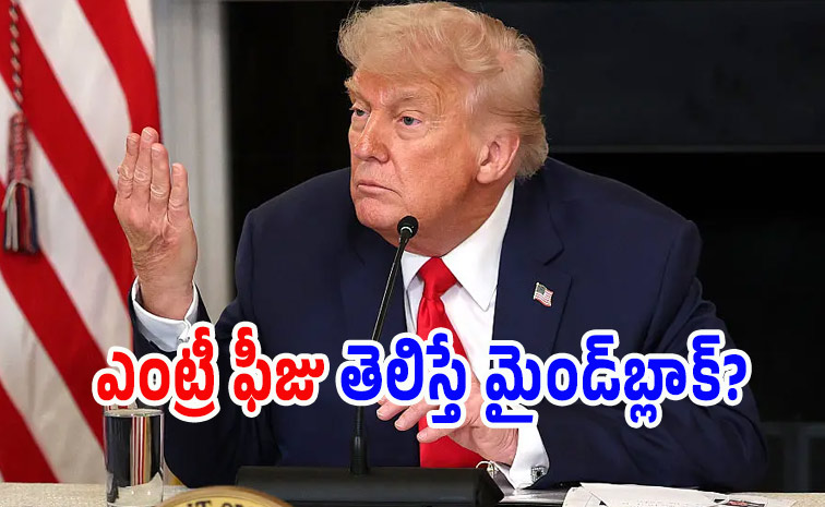 donaltrump12.jpg