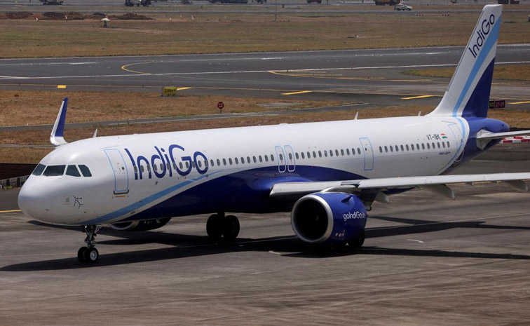 indigo.jpg
