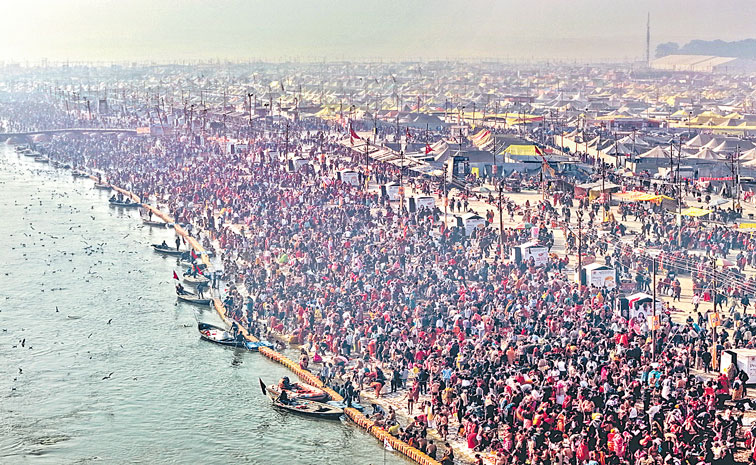 MELA3.jpg