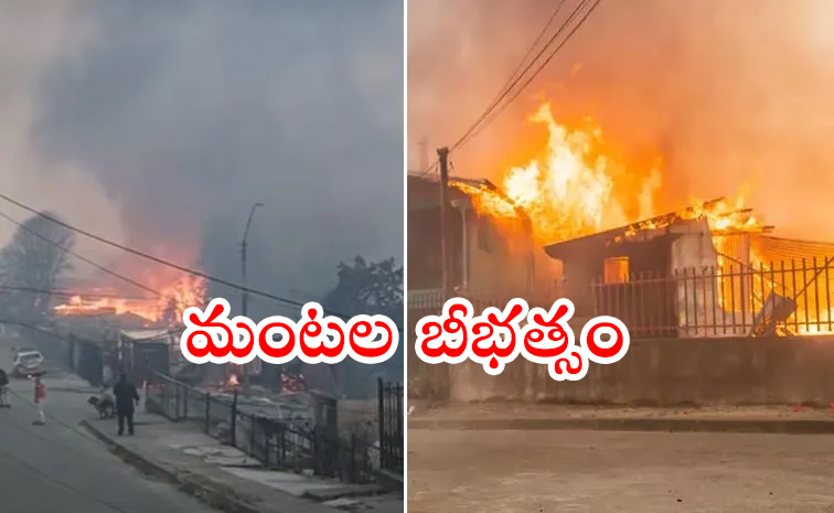 Wildfires.jpg