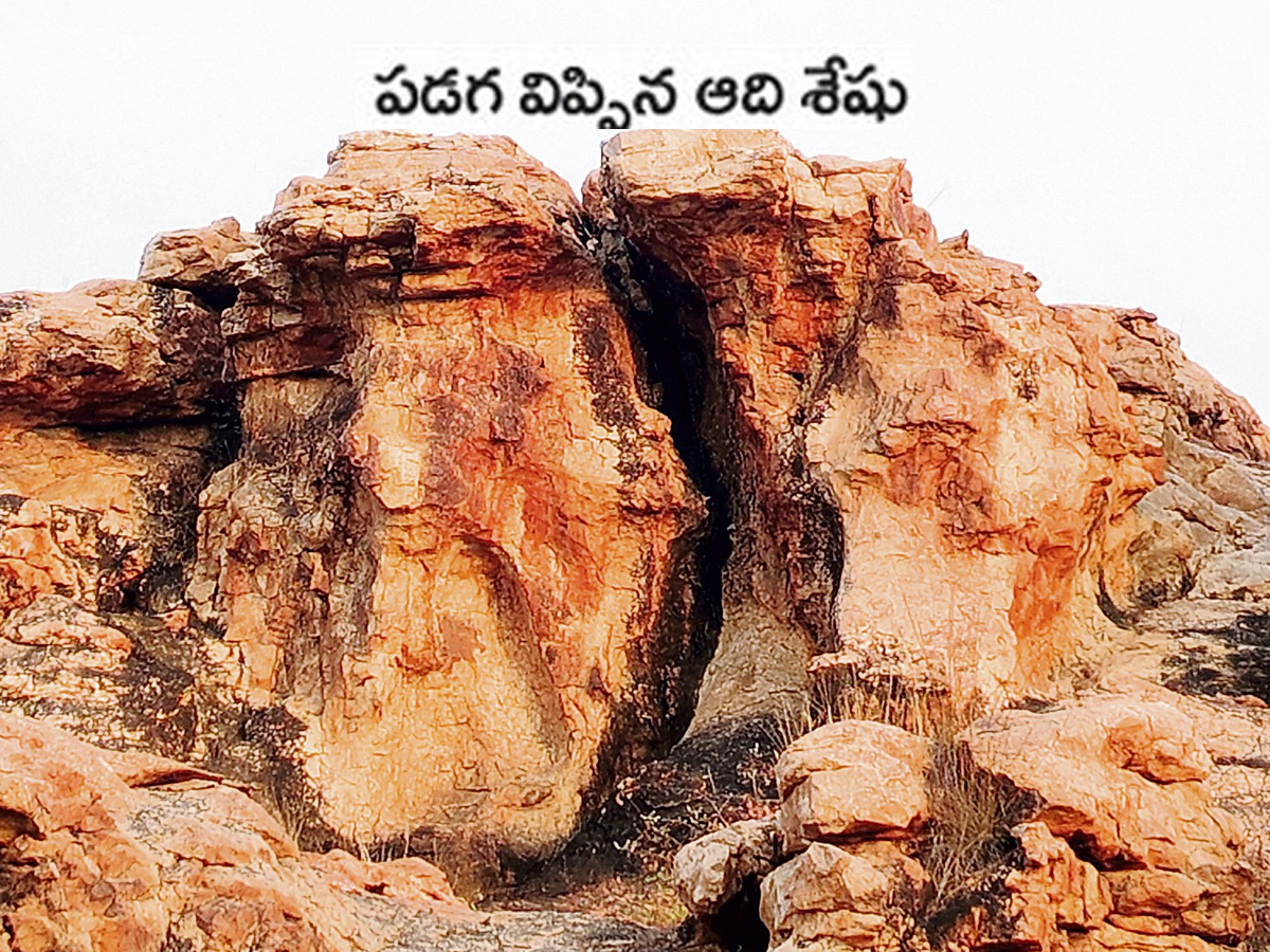 stone_20idols1.jpg 2