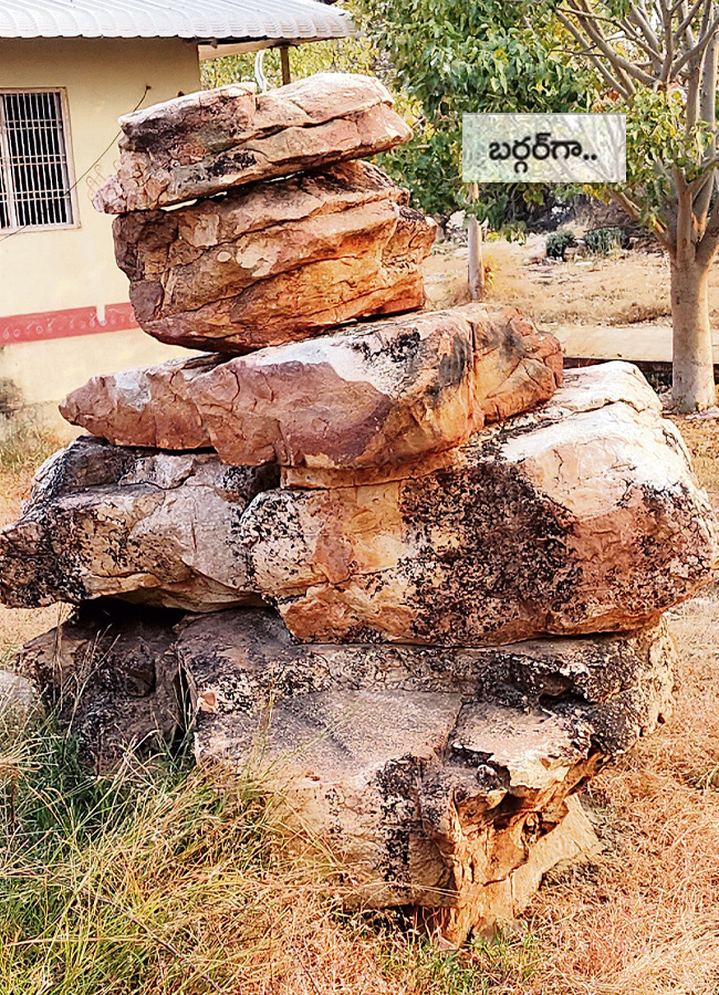 stone_20idols10.jpg 11
