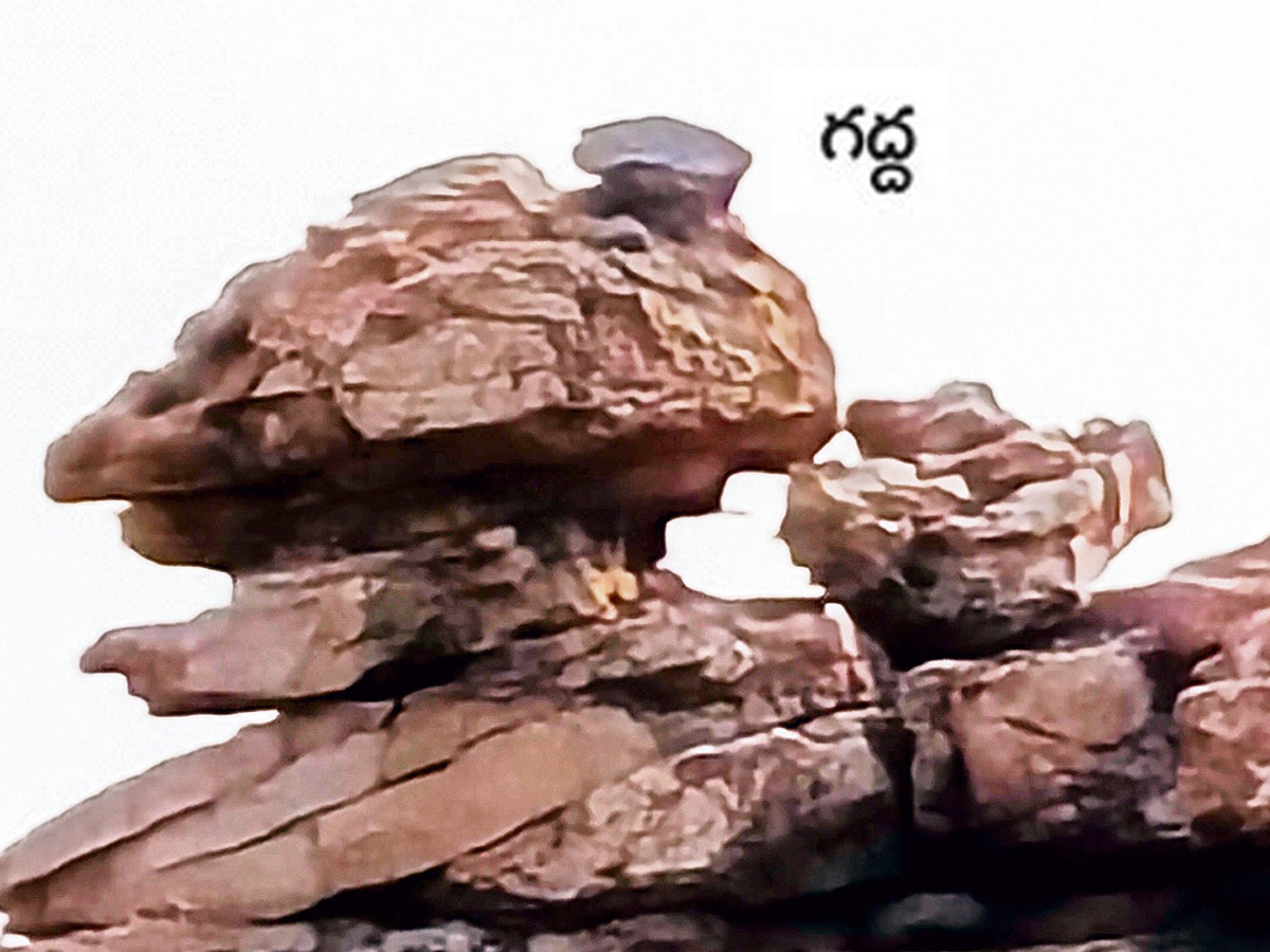 stone_20idols2.jpg 3