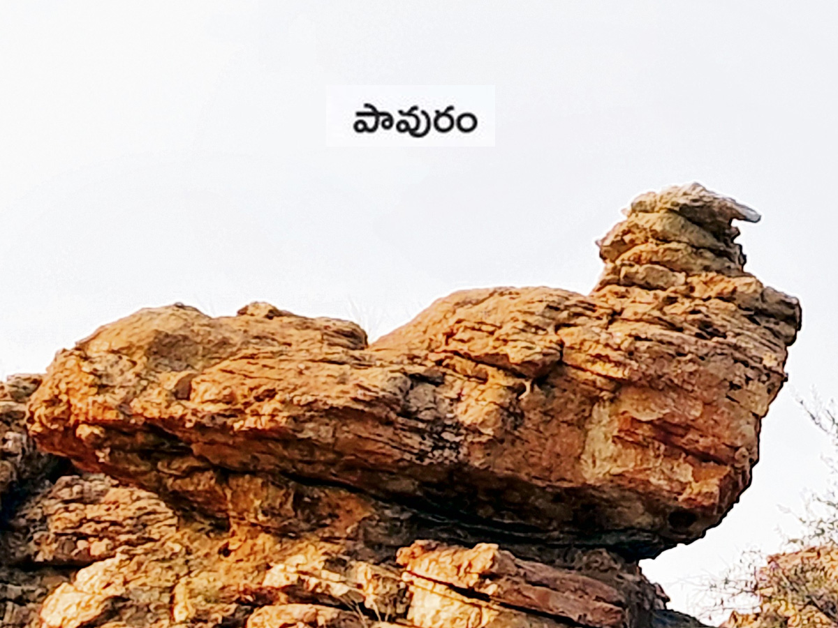 stone_20idols4.jpg 5