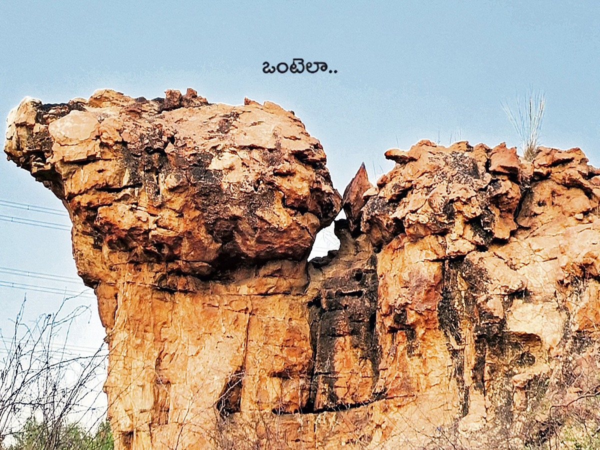 stone_20idols6.jpg 7