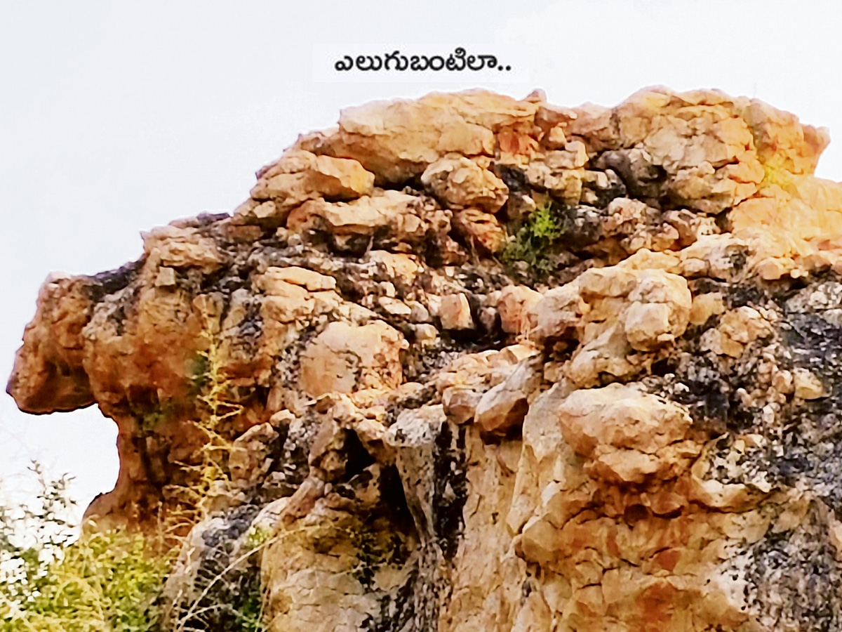 stone_20idols7.jpg 8