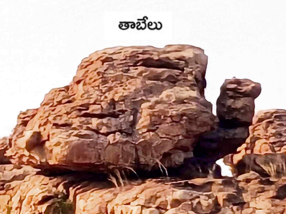 stone_20idols8.jpg 9