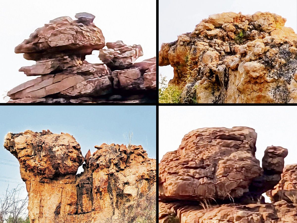 stone_20idols_20title.jpg 1