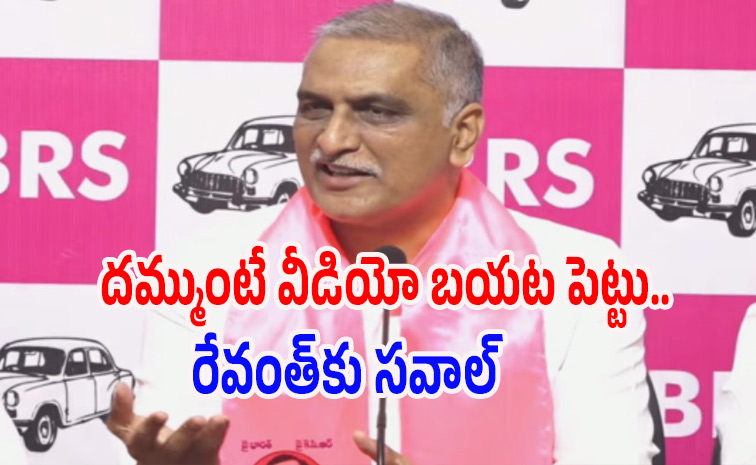 Harishrao_speech.jpg