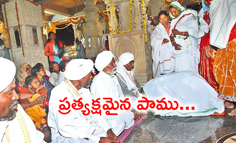 Nagoba-Jatara.jpg