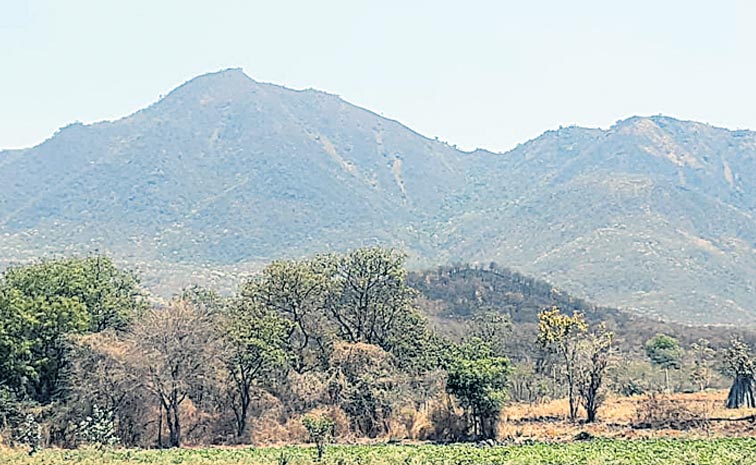 Hills.jpg
