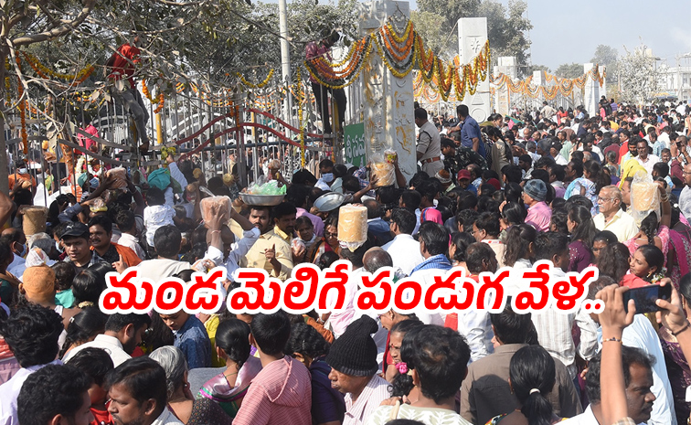 Medaram-maha-Jatara.jpg