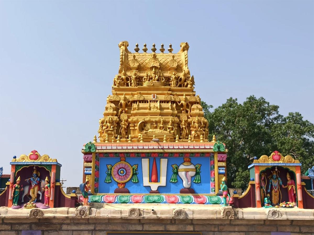 Sri_20Ranganthaswami_20Temple_20in_20Nellore_2C_20Andhra_20Pradesh__20_2812_29.jpg 12