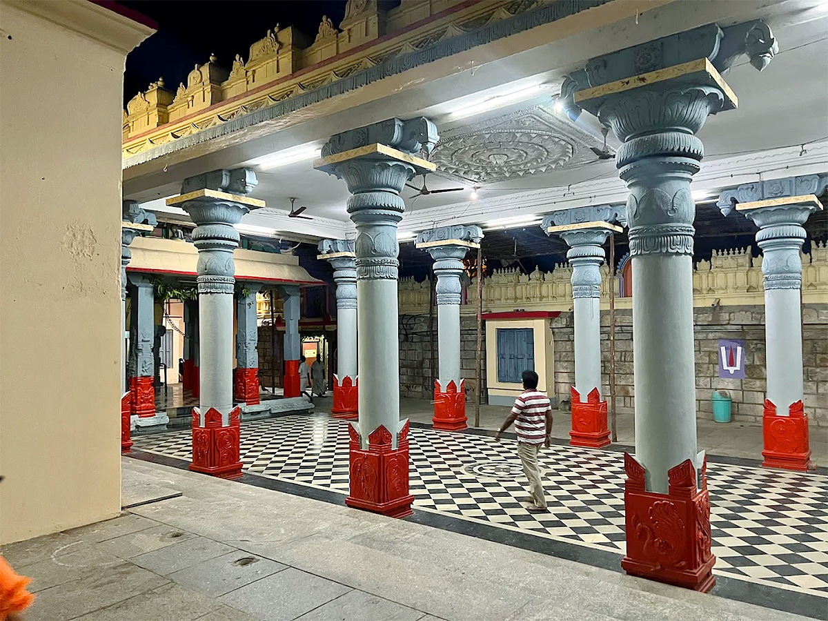 Sri_20Ranganthaswami_20Temple_20in_20Nellore_2C_20Andhra_20Pradesh__20_2813_29.jpg 13