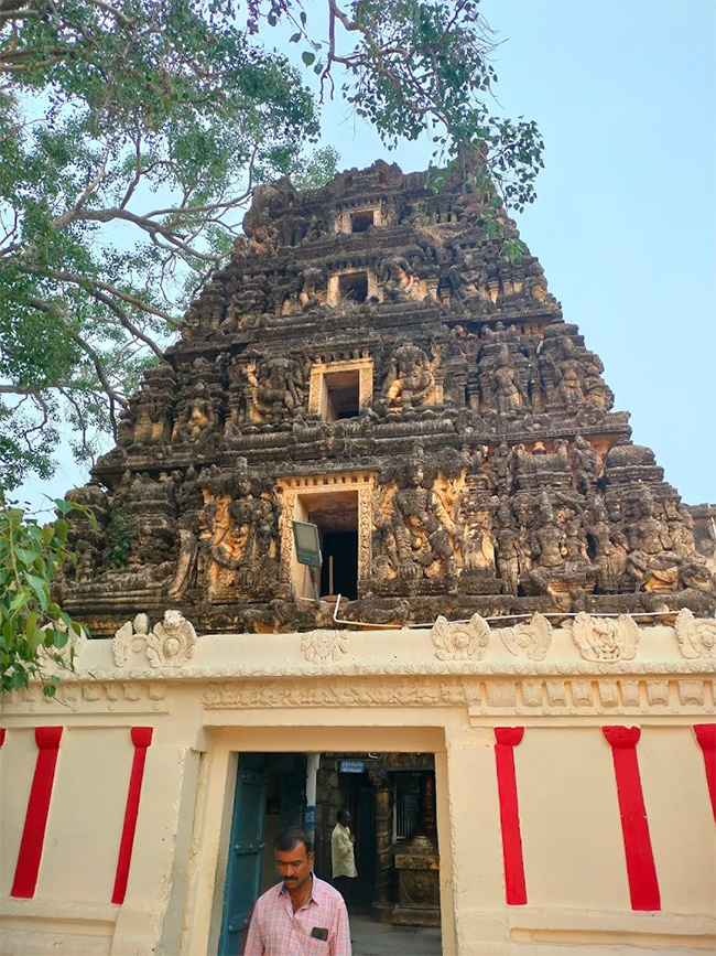 Sri_20Ranganthaswami_20Temple_20in_20Nellore_2C_20Andhra_20Pradesh__20_285_29.jpg 5