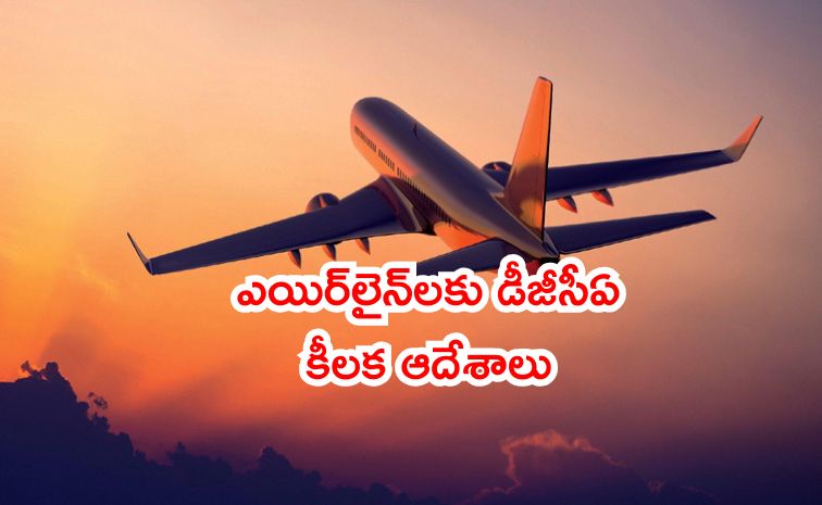 dgca.jpg