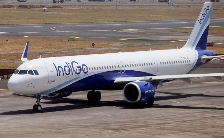 indigo.jpg