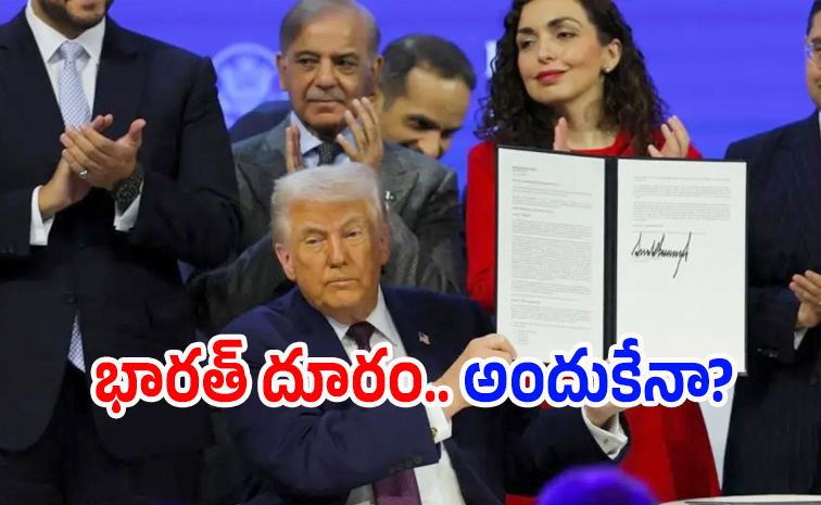 Donaldtrump12.jpg