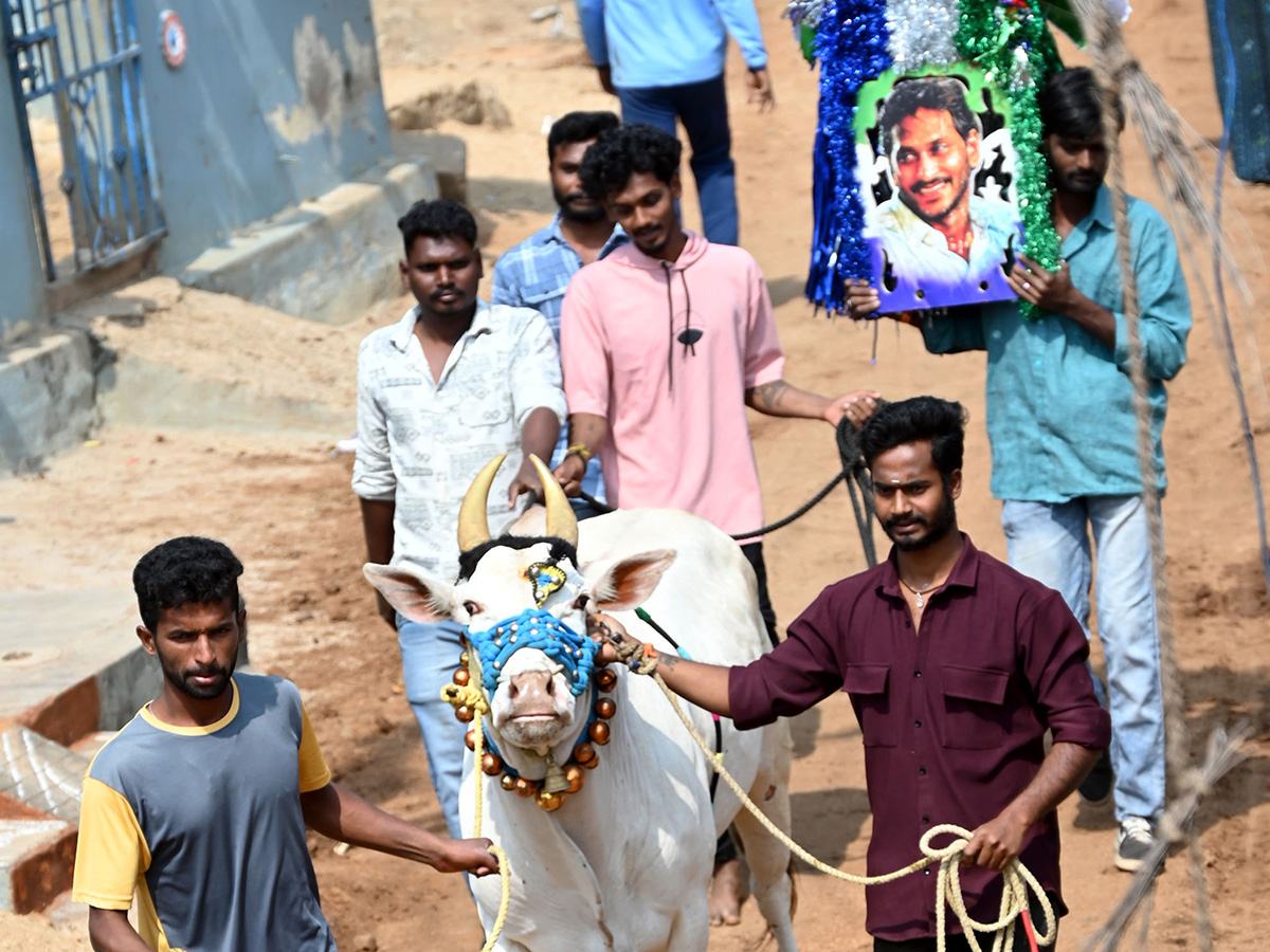 Rangampeta_20Jallikattu_202026_20Photos__20_2813_29.jpg 13