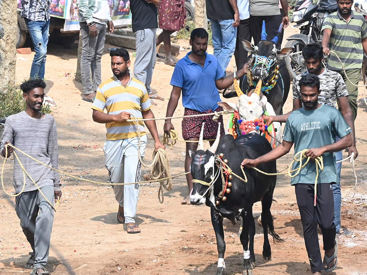 Rangampeta_20Jallikattu_202026_20Photos__20_2814_29.jpg 14