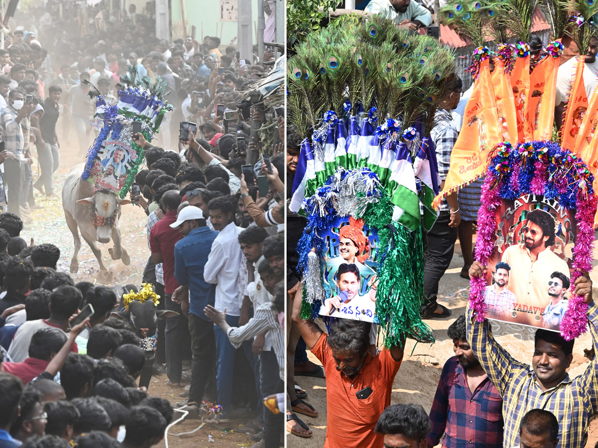 Rangampeta_20Jallikattu_202026_20Photos__20_281_29.jpg 1