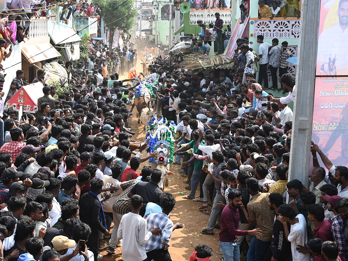 Rangampeta_20Jallikattu_202026_20Photos__20_282_29.jpg 2
