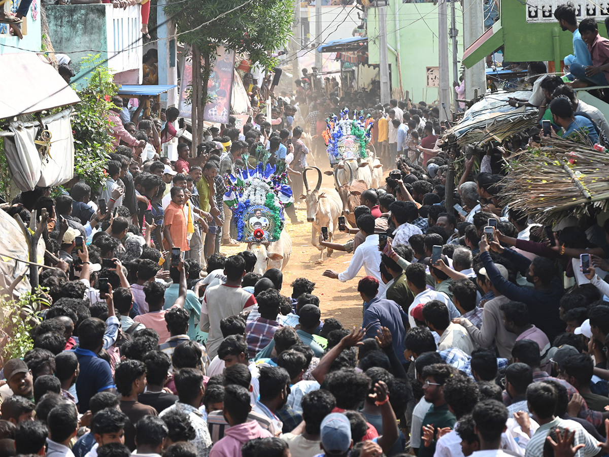 Rangampeta_20Jallikattu_202026_20Photos__20_283_29.jpg 3