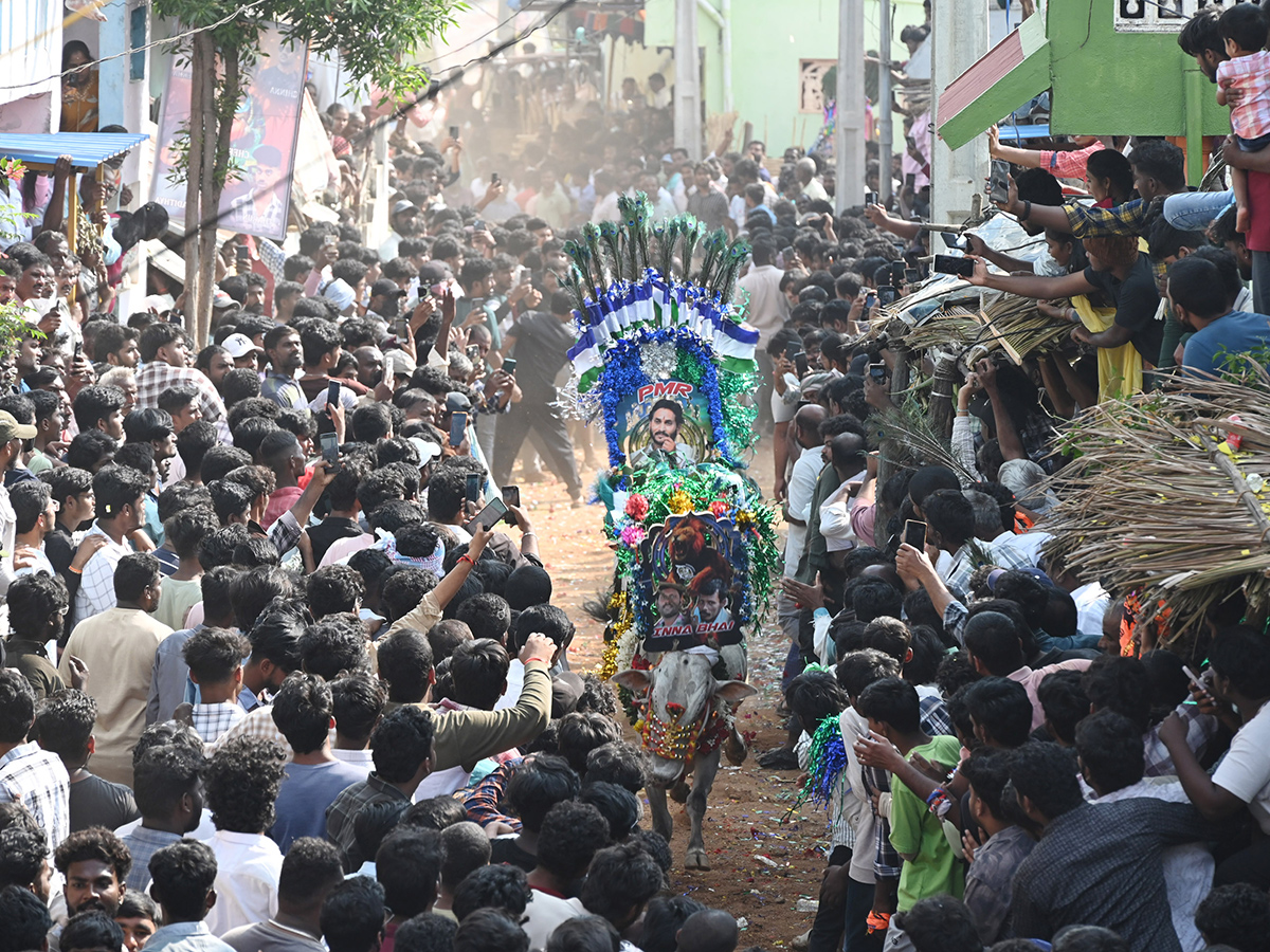 Rangampeta_20Jallikattu_202026_20Photos__20_284_29.jpg 4