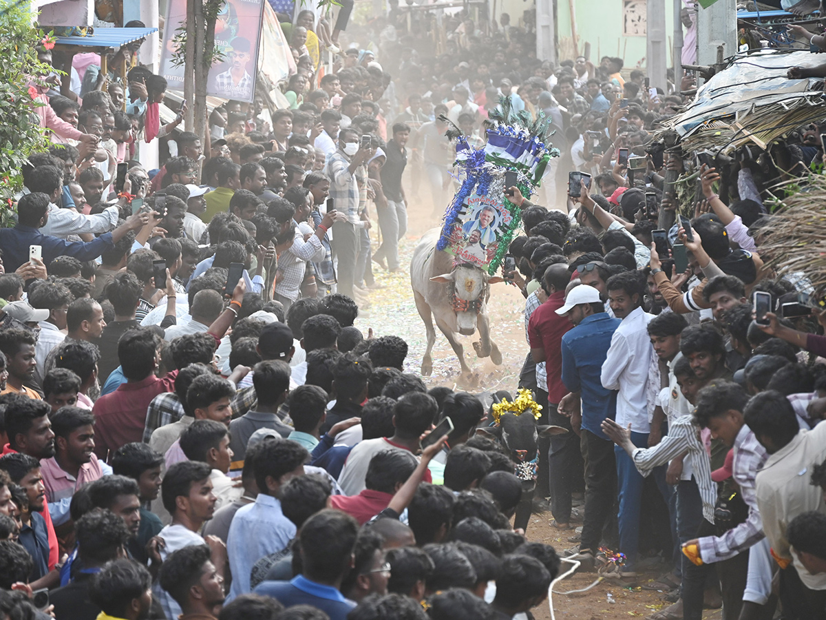 Rangampeta_20Jallikattu_202026_20Photos__20_285_29.jpg 5