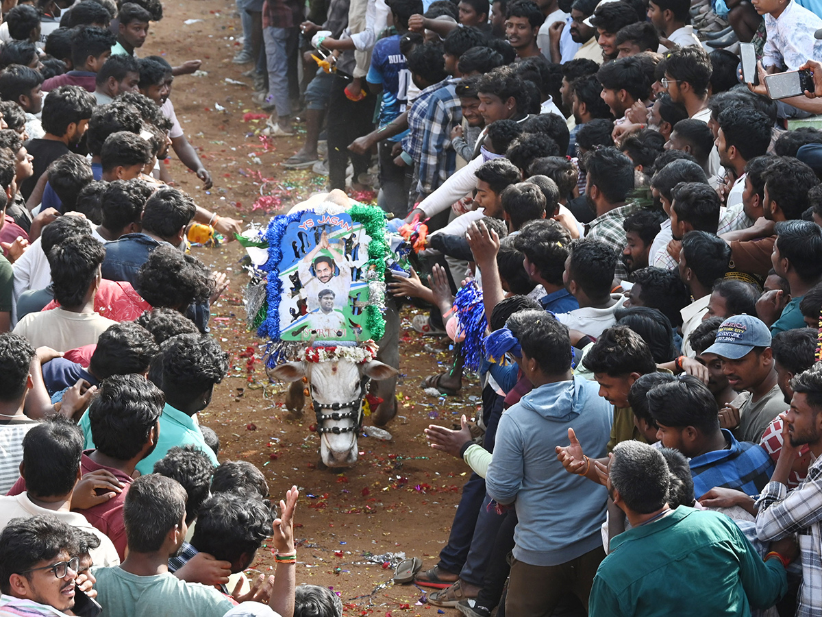 Rangampeta_20Jallikattu_202026_20Photos__20_286_29.jpg 6