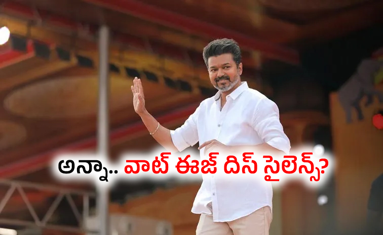 Vijay-TVK-Party.jpg