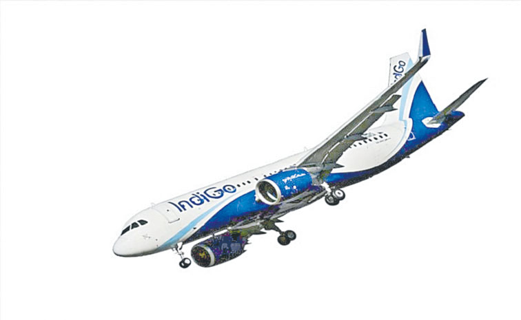 INDIGO-FLIGHT-123.jpg