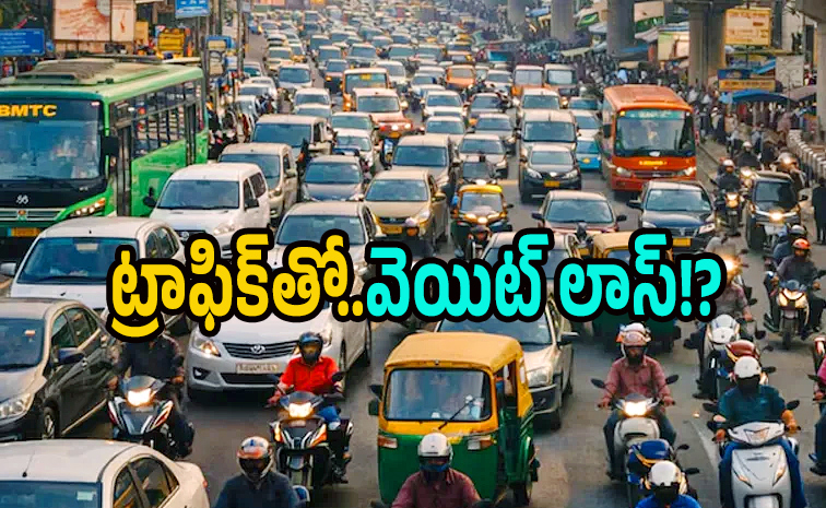 traffic_0.jpg