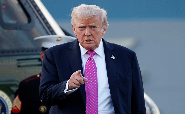 tump.jpg