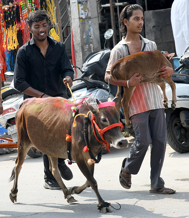 Animal_20Fest_20_28Pashu_20Sankranthi_29_20in_20Narsingi_20at_20Hyderabad__20_2813_29.jpg 13
