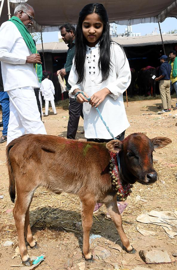 Animal_20Fest_20_28Pashu_20Sankranthi_29_20in_20Narsingi_20at_20Hyderabad__20_2816_29.jpg 16