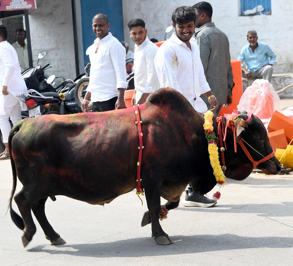 Animal_20Fest_20_28Pashu_20Sankranthi_29_20in_20Narsingi_20at_20Hyderabad__20_2823_29.jpg 23