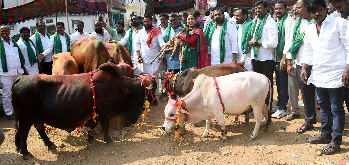 Animal_20Fest_20_28Pashu_20Sankranthi_29_20in_20Narsingi_20at_20Hyderabad__20_288_29.jpg 8