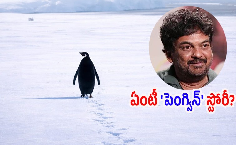 penguin-story-telugu.jpg