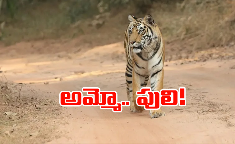 Telangana-Yadagirigutta.jpg
