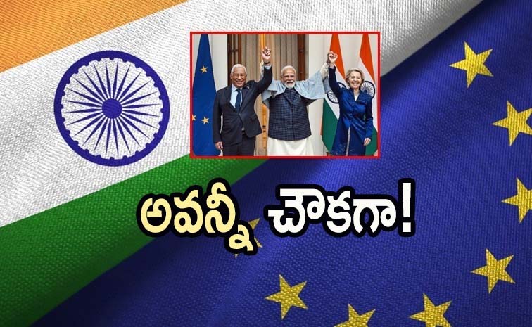 india-eu.jpg