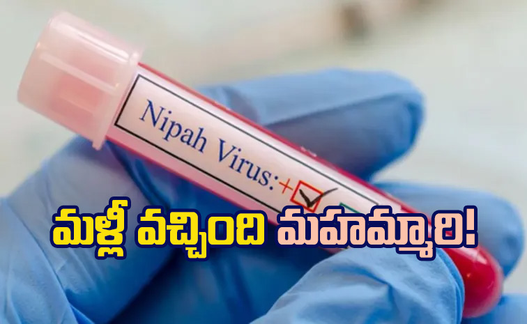 nipah.jpg