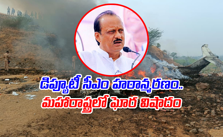 Ajit-Pawar-Plane.jpg