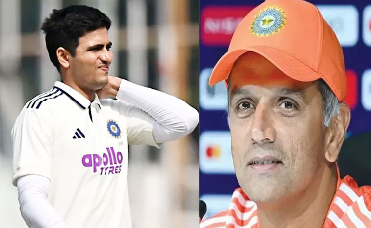 gilldravid.jpg